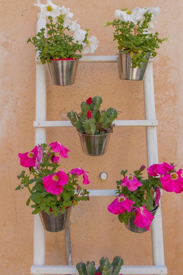 Casa Font-fullana Ferienhaus